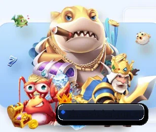 开云官方 APP